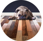 Finishing Inspection